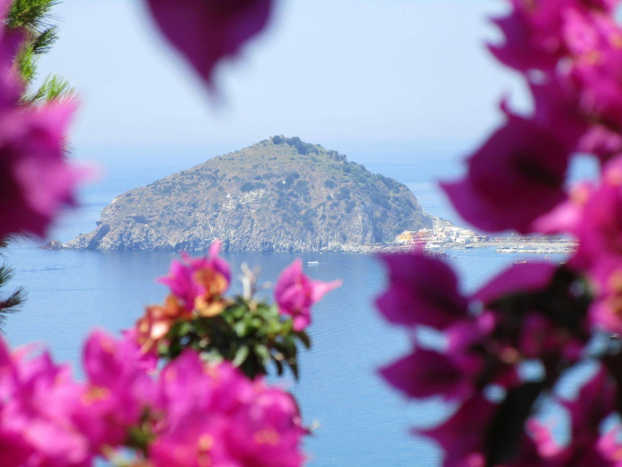 Hotel Villa Al Mare Barano dʼIschia Zewnętrze zdjęcie